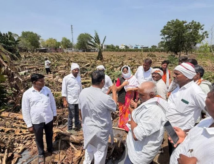 बुरहानपुर: प्राकृतिक आपदा से बर्बाद हुई केला फसल, किसानों ने शिवराज सिंह चौहान से की विशेष पैकेज की मांग