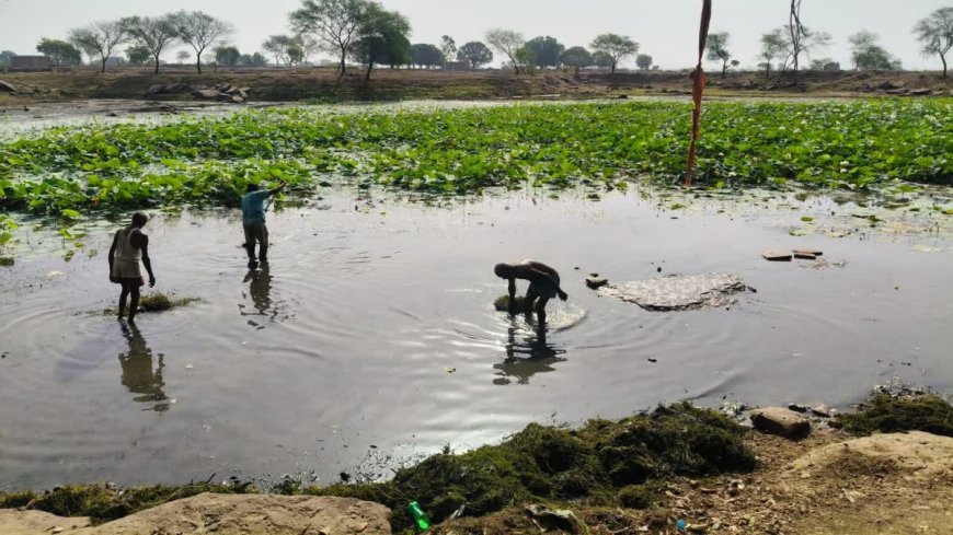 पन्ना का रहस्यमयी बजरंग धाम तलैया: कभी नहीं सूखता पानी, ग्रामीणों ने देखी 6 फीट लंबी 'देववंशी' मछली