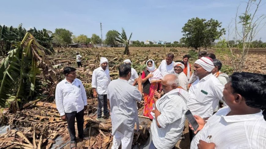 बुरहानपुर: प्राकृतिक आपदा से बर्बाद हुई केला फसल, किसानों ने शिवराज सिंह चौहान से की विशेष पैकेज की मांग